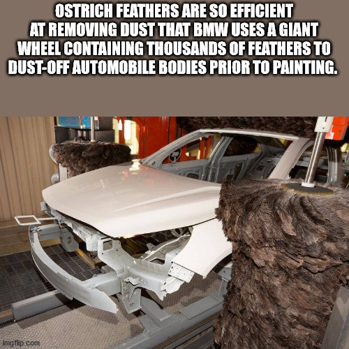 car - Ostrich Feathers Are So Efficient At Removing Dust That Bmw Uses A Giant Wheel Containing Thousands Of Feathers To DustOff Automobile Bodies Prior To Painting. imgflip.com