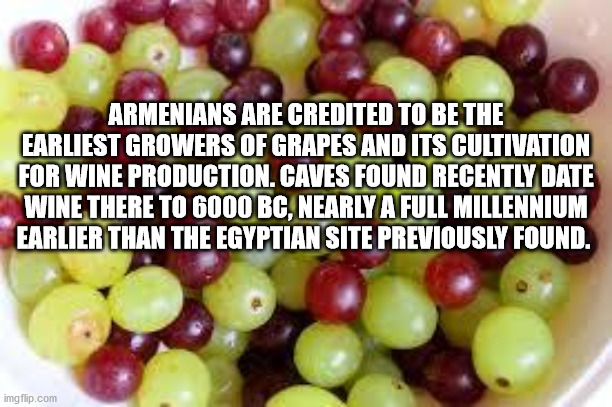 Grape - Armenians Are Credited To Be The Earliest Growers Of Grapes And Its Cultivation For Wine Production. Caves Found Recently Date Wine There To 6000 Bc, Nearly A Full Millennium Earlier Than The Egyptian Site Previously Found. imgflip.com