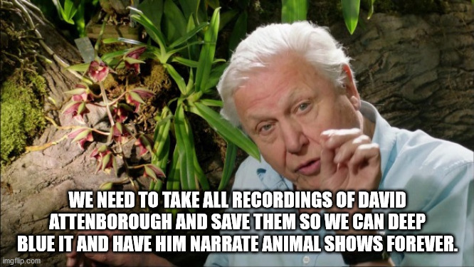 shower thoughts - david attenborough wise - We Need To Take All Recordings Of David Attenborough And Save Them So We Can Deep Blue It And Have Him Narrate Animal Shows Forever. imgflip.com