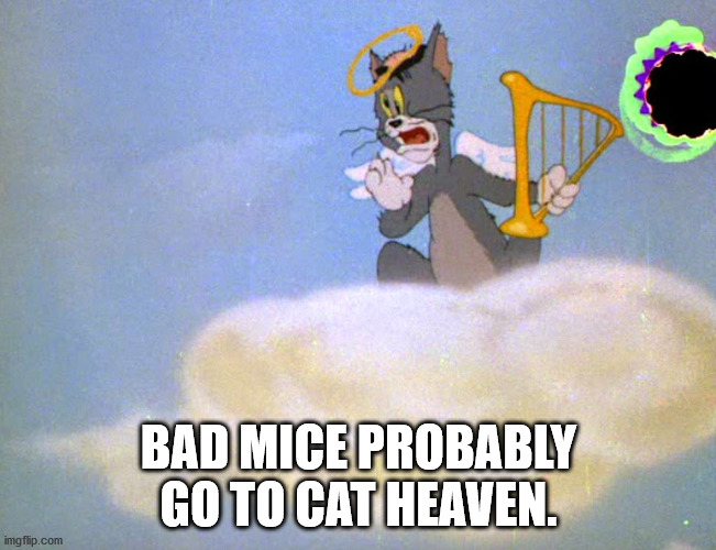 shower thoughts - welcome to the herd cider - Bad Mice Probably Go To Cat Heaven. imgflip.com