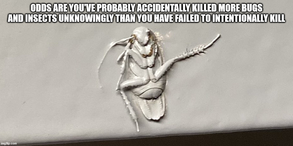 shower thoughts - cockroach painted on wall - Odds Are You Ve Probably Accidentally Killed More Bugs And Insects Unknowingly Than You Have Failed To Intentionally Kill imgflip.com