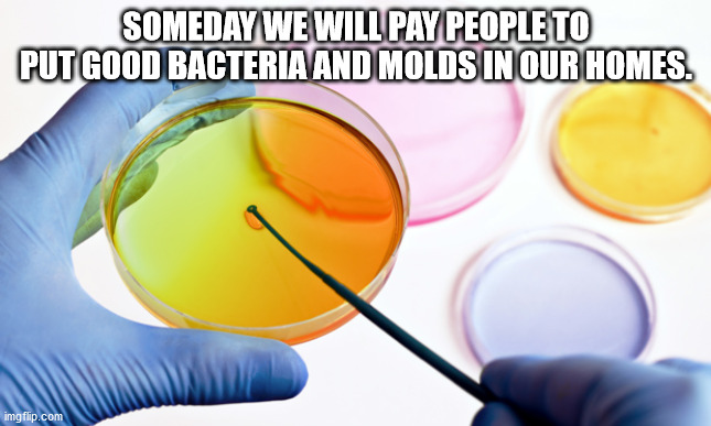 shower thoughts - Someday We Will Pay People To Put Good Bacteria And Molds In Our Homes. imgflip.com