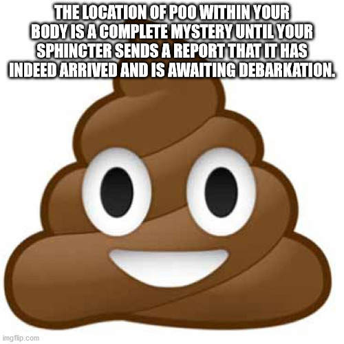 shower thoughts - baby shark poo poo - The Location Of Poo Within Your Body Is A Complete Mystery Until Your Sphincter Sends A Report That It Has Indeed Arrived And Is Awaiting Debarkation. imgflip.com