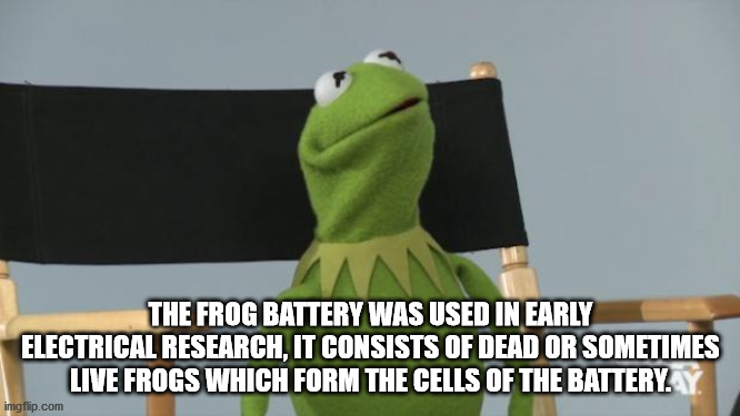 fun facts - college liberal meme - The Frog Battery Was Used In Early Electrical Research, It Consists Of Dead Or Sometimes Live Frogs Which Form The Cells Of The Battery. imgflip.com