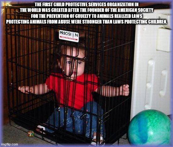 fun facts - cage - The First Child Protective Services Organization In The World Was Created After The Founder Of The American Society For The Prevention Of Crueity To Animals Realized Laws Protecting Animals From Abuse Were Stronger Than Laws Protecting 