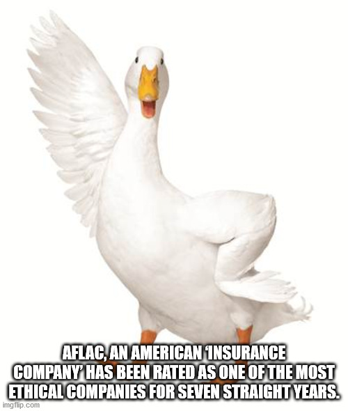 interesting facts - fun facts - captain cat - Aflac, An American Insurance Company Has Been Rated As One Of The Most Ethical Companies For Seven Straight Years. imgflip.com