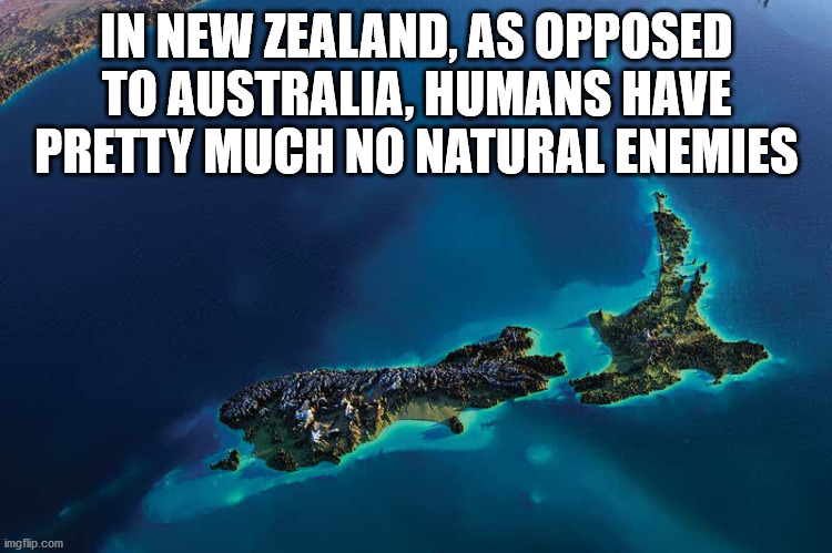 interesting facts - fun facts - campanha da fraternidade 2012 - In New Zealand, As Opposed To Australia, Humans Have Pretty Much No Natural Enemies imgflip.com