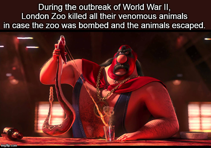 interesting facts - fun facts - el macho despicable me - During the outbreak of World War Ii, London Zoo killed all their venomous animals in case the zoo was bombed and the animals escaped. imgflip.com
