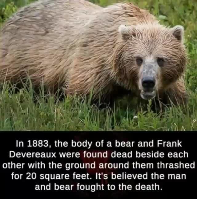 you dare oppose me mortal male - In 1883, the body of a bear and Frank Devereaux were found dead beside each other with the ground around them thrashed for 20 square feet. It's believed the man and bear fought to the death.