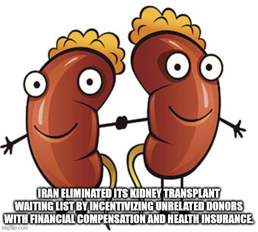 kidney meme - Iran Eliminated Its Kidney Transplant Waiting List By Incentivizing Unrelated Donors With Financial Compensation And Health Insurance. imgflip.com