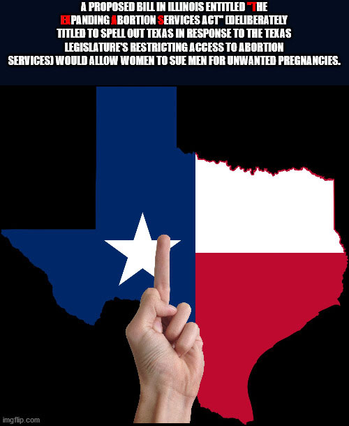 state texas flag - A Proposed Bill In Illinois Entitled The Bpanding Bortion Services Act Deliberately Titled To Spell Out Texas In Response To The Texas Legislature'S Restricting Access To Abortion Servicesi Would Allow Women To Sue Men For Unwanted Preg
