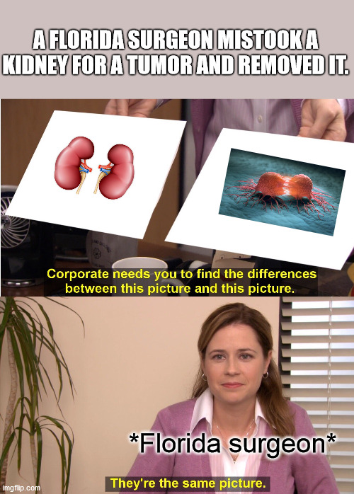 taxation is theft meme - A Florida Surgeon Mistook A Kidney For A Tumor And Removed It. 3 Corporate needs you to find the differences between this picture and this picture. Florida surgeon imgflip.com They're the same picture.