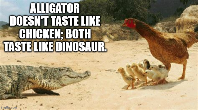 shower thoughts - crocodile hen - Alligator Doesn'T Taste Chicken, Both Taste Dinosaur. imgflip.com