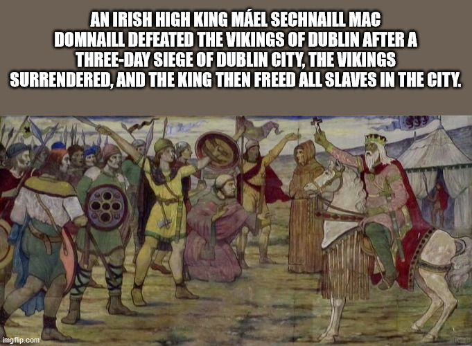 fun facts - An Irish High King Mael Sechnaill Mac Domnaill Defeated The Vikings Of Dublin After A ThreeDay Siege Of Dublin City, The Vikings Surrendered, And The King Then Freed All Slaves In The City. imgflip.com