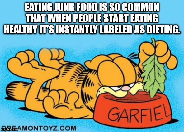 shower thoughts - funny hickory house restaurant - Eating Junk Food Is So Common That When People Start Eating Healthy It'S Instantly Labeled As Dieting. n Garfiel imgflip.comA Montoyz.Com