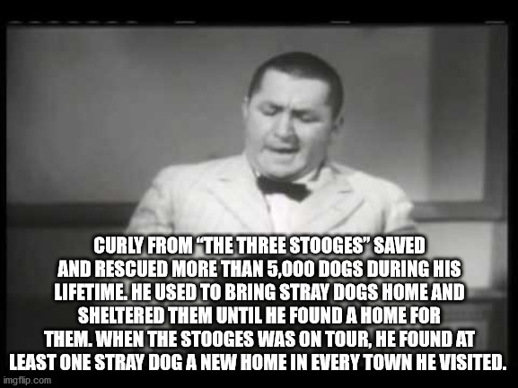 hickory house restaurant - Curly From The Three Stooges" Saved And Rescued More Than 5,000 Dogs During His Lifetime. He Used To Bring Stray Dogs Home And Sheltered Them Until He Found A Home For Them. When The Stooges Was On Tour, He Found At Least One St