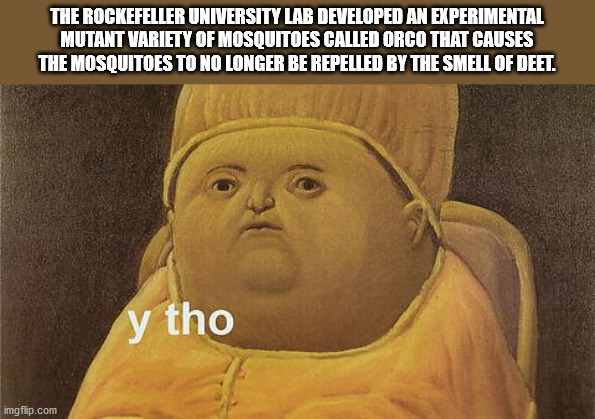 pope leo x - The Rockefeller University Lab Developed An Experimental Mutant Variety Of Mosquitoes Called Orco That Causes The Mosquitoes To No Longer Be Repelled By The Smell Of Deet. y tho imgflip.com