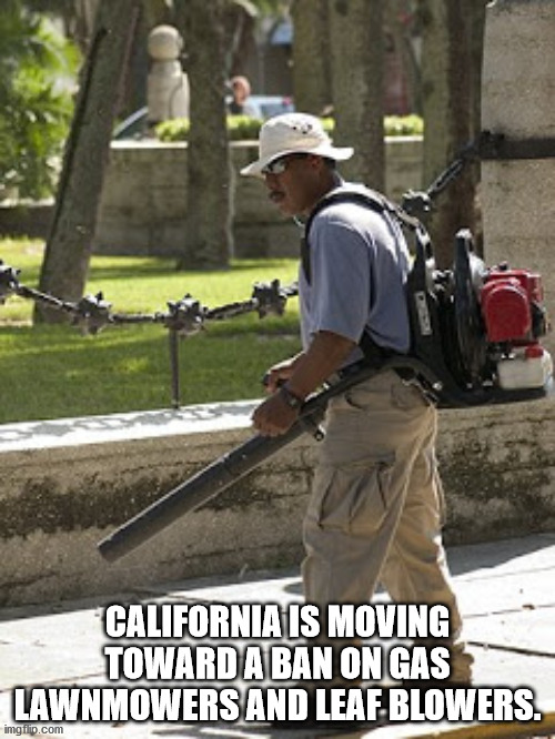 tree - California Is Moving Toward A Ban On Gas Lawnmowers And Leaf Blowers. imgiip.com