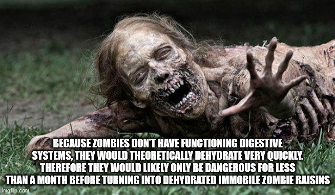 hickory house restaurant - Because Zombies Don'T Have Functioning Digestive Systems, They Would Theoretically Dehydrate Very Quickly. Therefore They Would ly Only Be Dangerous For Less Than A Month Before Turning Into Dehydrated Immobile Zombie Raisins im