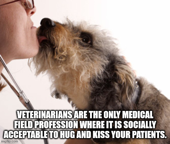 photo caption - Veterinarians Are The Only Medical Field Profession Where It Is Socially Acceptable To Hug And Kiss Your Patients. imgflip.com
