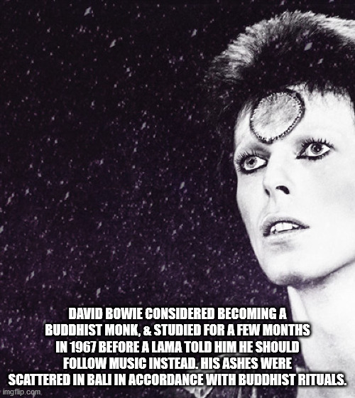 fun facts - interesting facts - david bowie ziggy stardust fan art - David Bowie Considered Becoming A Buddhist Monk, & Studied For A Few Months In 1967 Before A Lama Told Him He Should Music Instead. His Ashes Were Scattered In Bali In Accordance With Bu