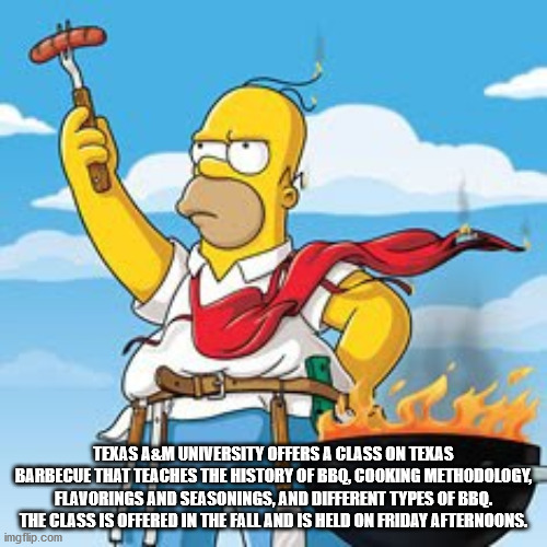 fun facts - interesting facts - homer barbecue - Texas A&M University Offers A Class On Texas Barbecue That Teaches The History Of Bbq, Cooking Methodology, Flavorings And Seasonings, And Different Types Of Bbq. The Class Is Offered In The Fall And Is Hel