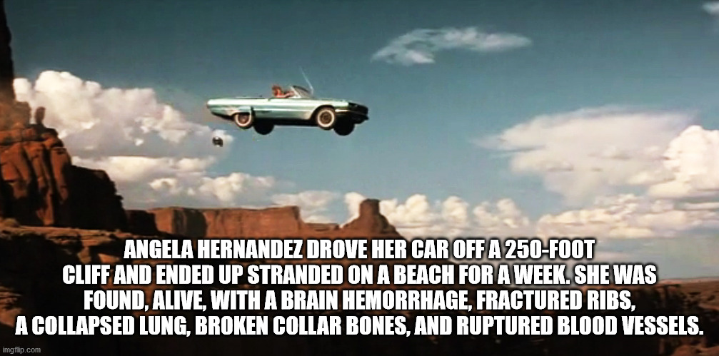fun facts - interesting facts - sky - Angela Hernandez Drove Her Car Off A 250Foot Cliff And Ended Up Stranded On A Beach For A Week. She Was Found, Alive, With A Brain Hemorrhage, Fractured Ribs, A Collapsed Lung, Broken Collar Bones, And Ruptured Blood 