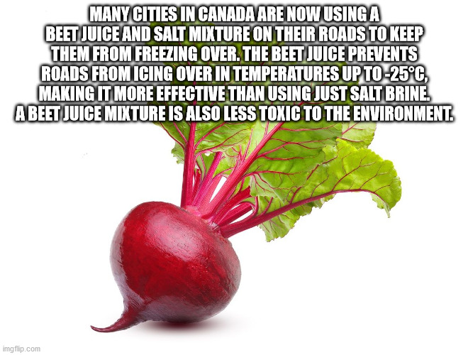 fun facts - factoids - interesting facts - natural foods - Many Cities In Canada Are Now Using A Beet Juice And Salt Mixture On Their Roads To Keep Them From Freezing Over. The Beet Juice Prevents Roads From Icing Over In Temperatures Up To25C, Making It 