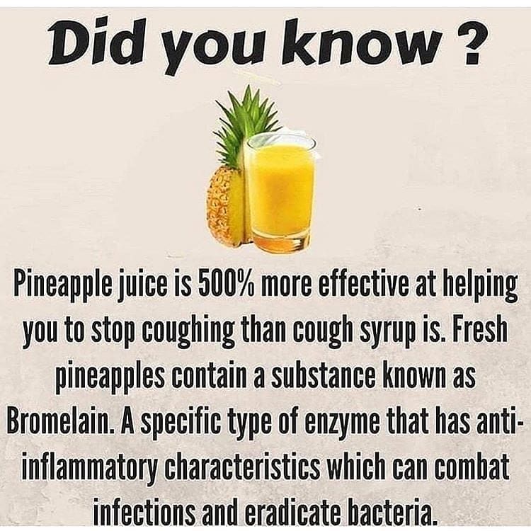 fun facts - factoids - interesting facts - drink - Did you know? Pineapple juice is 500% more effective at helping you to stop coughing than cough syrup is. Fresh pineapples contain a substance known as Bromelain. A specific type of enzyme that has anti i
