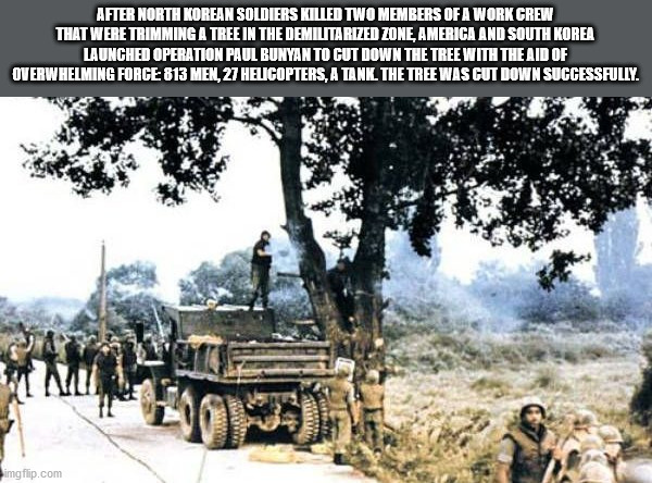 operation paul bunyan - After North Korean Soldiers Killed Two Members Of A Work Crew That Were Trimming A Tree In The Demilitarized Zone America And South Korea Launched Operation Paul Bunyan To Cut Down The Tree With The Aid Of Overwhelming Force 813 Me