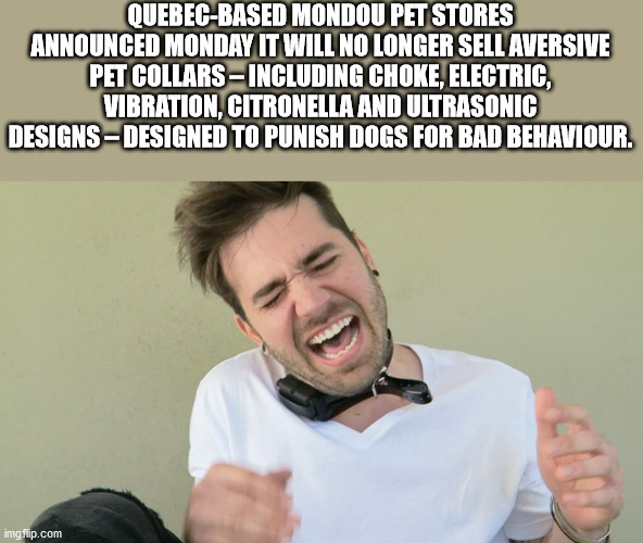 photo caption - QuebecBased Mondou Pet Stores Announced Monday It Will No Longer Sell Aversive Pet Collars Including Choke, Electric, Vibration, Citronella And Ultrasonic Designs Designed To Punish Dogs For Bad Behaviour. imgflip.com