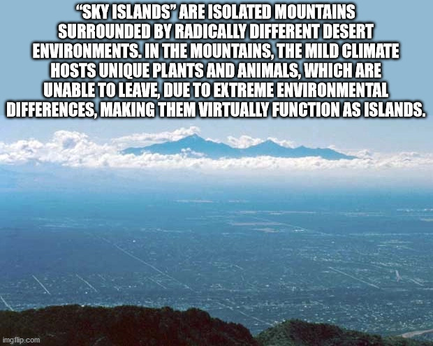 says china and iran should - "Sky Islands" Are Isolated Mountains Surrounded By Radically Different Desert Environments. In The Mountains, The Mild Climate Hosts Unique Plants And Animals, Which Are Unable To Leave, Due To Extreme Environmental Difference