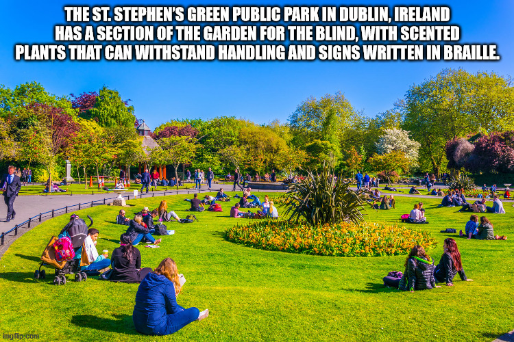 cool facts - nature - The St. Stephen'S Green Public Park In Dublin, Ireland Has A Section Of The Garden For The Blind, With Scented Plants That Can Withstand Handling And Signs Written In Braille. imgflip.com