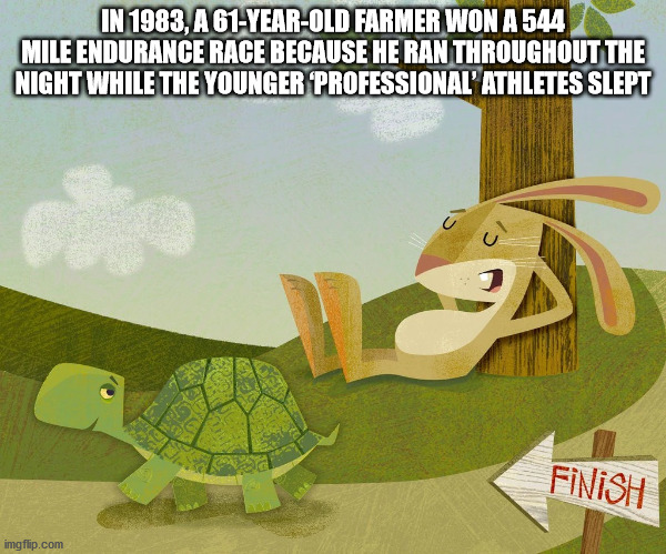 cool facts - aesop fable tortoise and the hare - In 1983, A 61YearOld Farmer Won A 544 Mile Endurance Race Because He Ran Throughout The Night While The Younger Professional'Athletes Slept ci Finish imgflip.com