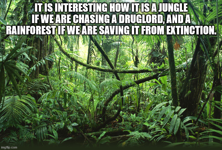 prehistoric jungle background - It Is Interesting How It Is A Jungle If We Are Chasing A Druglord, Anda Rainforest If We Are Saving It From Extinction. imgflip.com