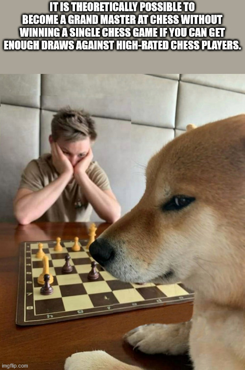 dog playing chess meme - It Is Theoretically Possible To Become A Grand Master At Chess Without Winning A Single Chess Game If You Can Get Enough Draws Against HighRated Chess Players. imgflip.com