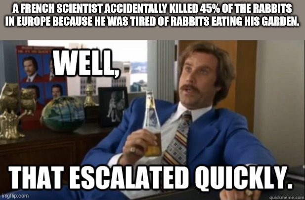 hawaiian party meme - A French Scientist Accidentally Killed 45% Of The Rabbits In Europe Because He Was Tired Of Rabbits Eating His Garden. Well That Escalated Quickly. imgflip.com quickmeme.com