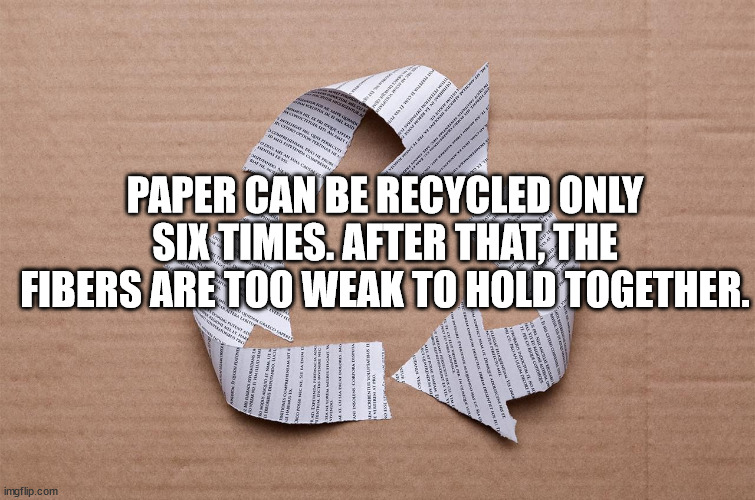 paper - Sem Tissa Man Ather More Re Son Crot Ta An Sc t Paper Can Be Recycled Only Six Times. After That, The Fibers Are Too Weak To Hold Together. No Malari | imgflip.com
