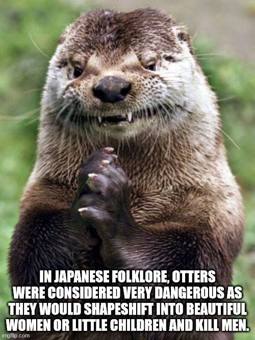 evil otter - In Japanese Folklore, Otters Were Considered Very Dangerous As They Would Shapeshift Into Beautiful Women Or Little Children And Kill Men. imgflip.com