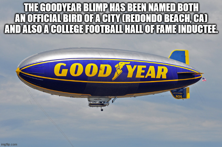 rigid airship - The Goodyear Blimp Has Been Named Both An Official Bird Of A City Credondo Beach, Ca And Also A College Football Hall Of Fame Inductee. Goodyear N imgflip.com