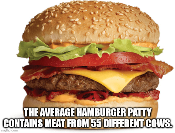 pointillizer coreldraw - The Average Hamburger Patty Contains Meat From 55 Different Cows. imgflip.com