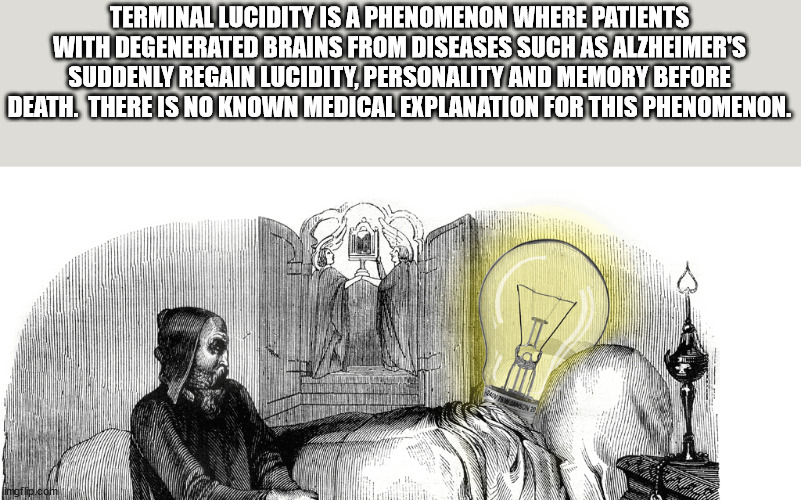 hickory house restaurant - Terminal Lucidity Is A Phenomenon Where Patients With Degenerated Brains From Diseases Such As Alzheimer'S Suddenly Regain Lucidity, Personality And Memory Before Death. There Is No Known Medical Explanation For This Phenomenon.
