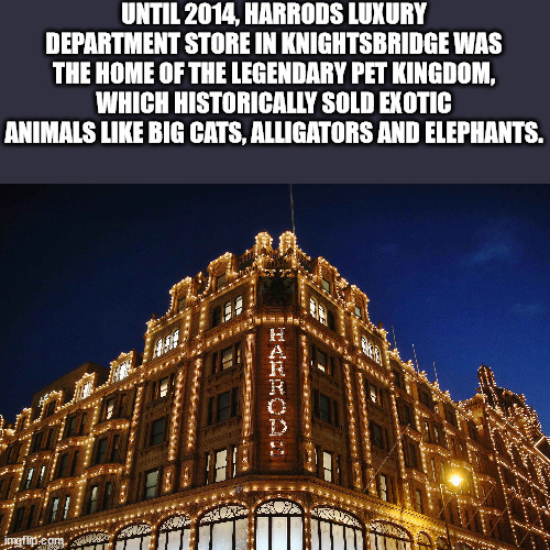 hyde park - Until 2014, Harrods Luxury Department Store In Knightsbridge Was The Home Of The Legendary Pet Kingdom, Which Historically Sold Exotic Animals Big Cats, Alligators And Elephants. imgflip.com