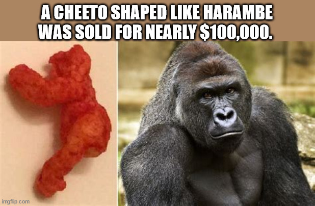 gorila harambe - A Cheeto Shaped Harambe Was Sold For Nearly $100,000. imgflip.com