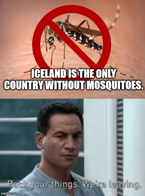 perhaps the archives are incomplete - Iceland Is The Only Country Without Mosquitoes. Pack your things. We're leaving. imgflip.com