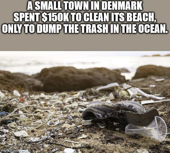 socially awkward penguin meme - A Small Town In Denmark Spent $ To Clean Its Beach, Only To Dump The Trash In The Ocean. imgflip.com