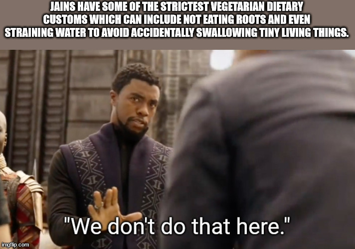 we don t do that here - Jains Have Some Of The Strictest Vegetarian Dietary Customs Which Can Include Not Eating Roots And Even Straining Water To Avoid Accidentally Swallowing Tiny Living Things. "We don't do that here." imgflip.com