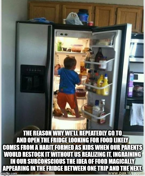 midnight snack funny - The Reason Why We'Ll Repeatedly Go To And Open The Fridge Looking For Food ly Comes From A Habit Formed As Kids When Our Parents Would Restock It Without Us Realizing It, Ingraining In Our Subconscious The Idea Of Food Magically App