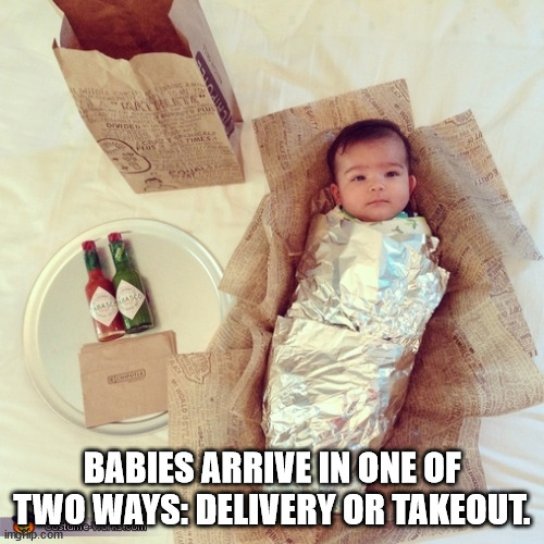 baby burrito costume - Divided Ca Tis Anas Babies Arrive In One Of Two Ways Delivery Or Takeout. DostumeUse imgflip.com