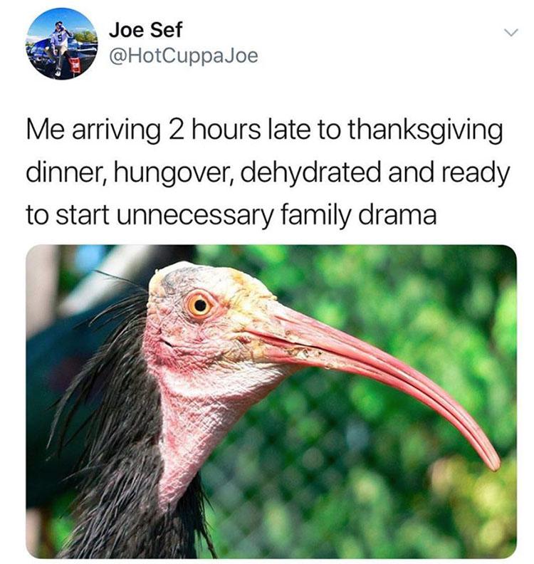 Thanksgiving 2021